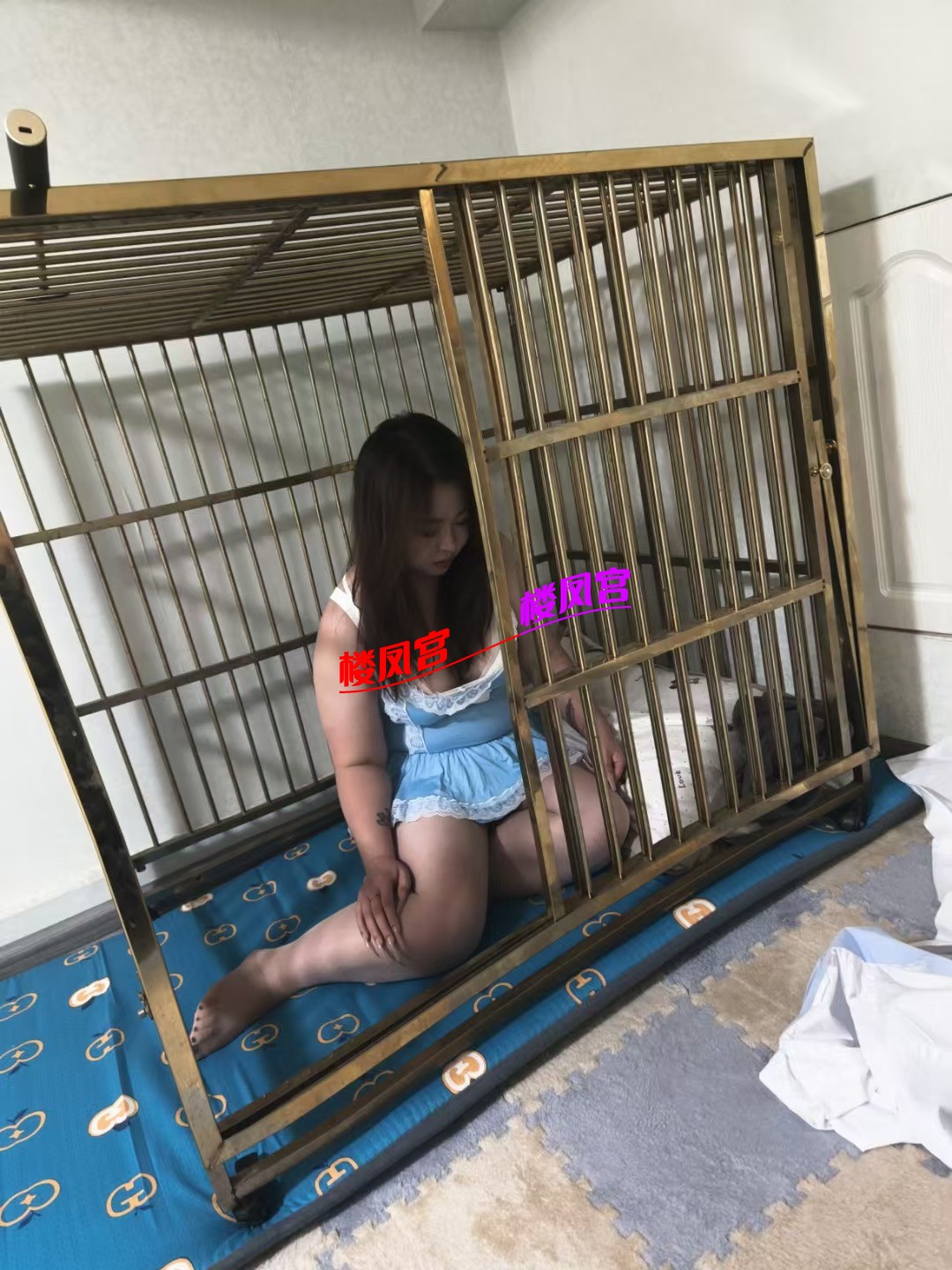 1000013245.jpg