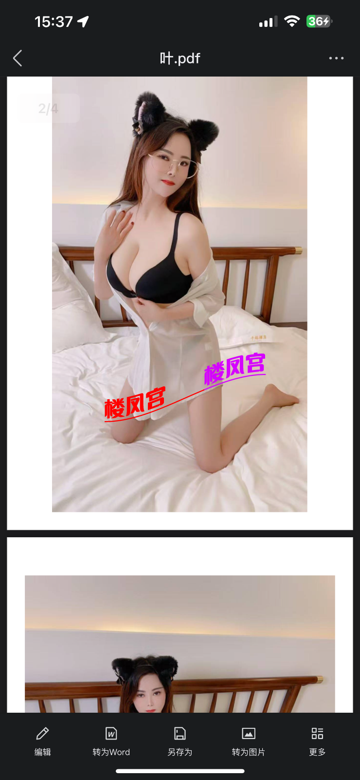 IMG_8798.png