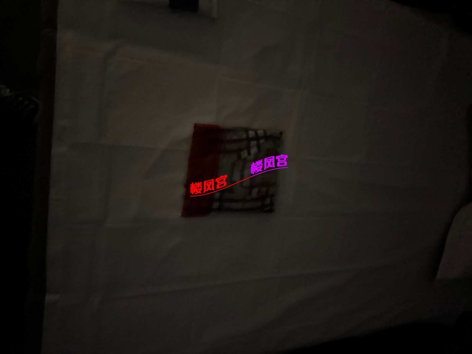 IMG_2917.jpeg