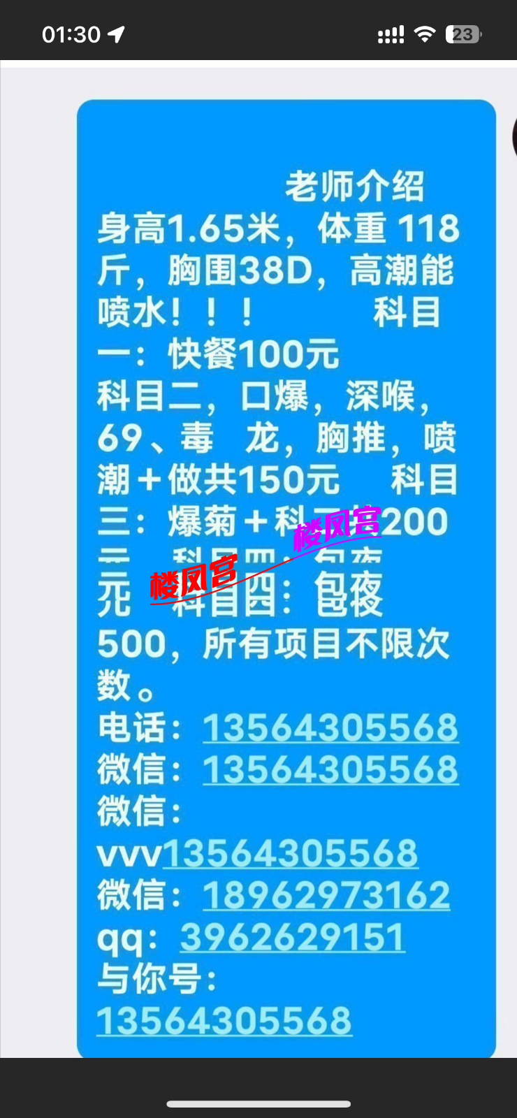 IMG_0559.png