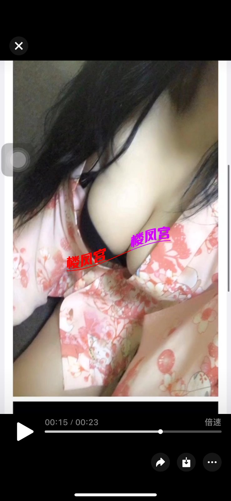 IMG_7504.png